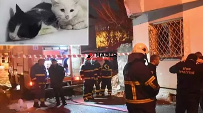 Kedilerin beslendiği evde yangın