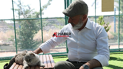 Küçük Dostlar Kedi Kasabası ziyaretçilerin ilgi odağı oldu