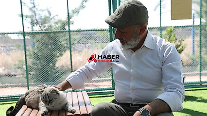 Küçük Dostlar Kedi Kasabası ziyaretçilerin ilgi odağı oldu
