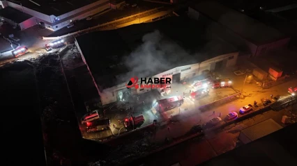 Mobilya fabrikasında yangın