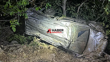 Bingöl'de hafif ticari araç uçuruma yuvarlandı