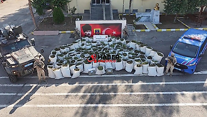 Diyarbakır'da 2 ton 200 kilogram esrar ele geçirildi