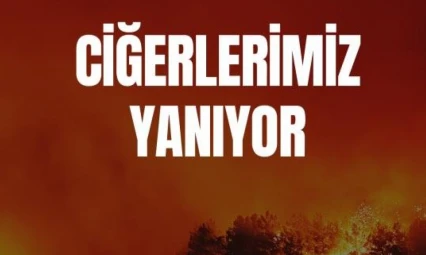 TFF'den orman yangınlarına ilişkin geçmiş olsun mesajı