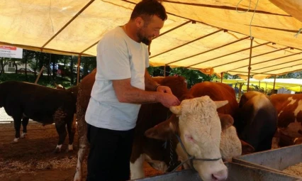 Tüm hayvan pazarları kapatıldı. işte detaylar..