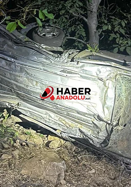 Bingöl'de hafif ticari araç uçuruma yuvarlandı