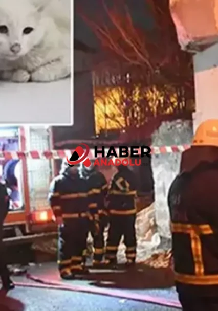 Kedilerin beslendiği evde yangın