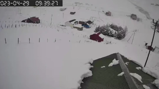 Doğu Karadeniz Yaylaları bir gecede beyaza büründü