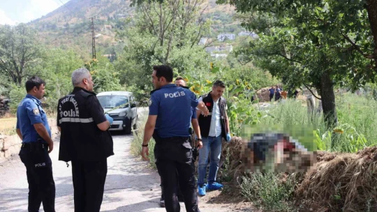 Sokak ortasında kanlı infaz