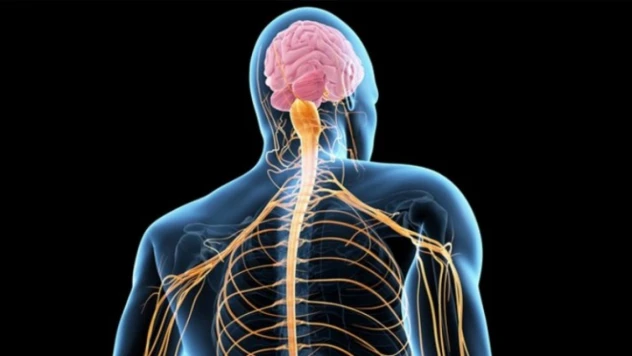 'Hareketsizlik ALS riskini artırabilir'