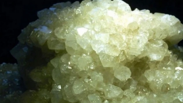 '2022 'bor'un yılı olacak'