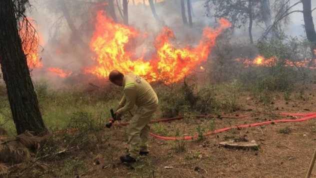 2023 yılında orman yangınlarına ilk müdahale hedefi 10 dakika