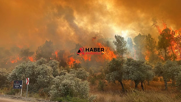 5 ildeki yangın bölgelerinde 92 yapı ağır hasarlı
