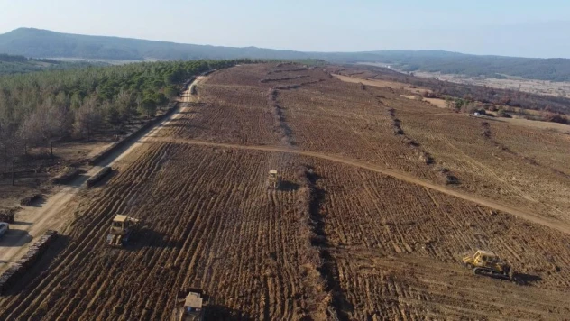 580 hektar alanda, 1 milyon fidan toprakla buluşturuluyor