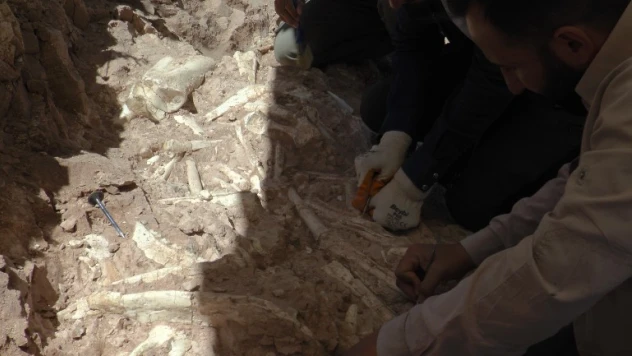 7.5 milyon yıllık tarih gün yüzüne çıkıyor