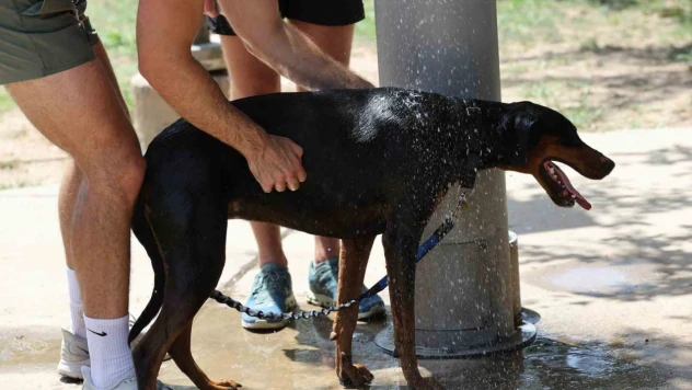 ABD'nin 38 kentinde sıcaklık rekoru