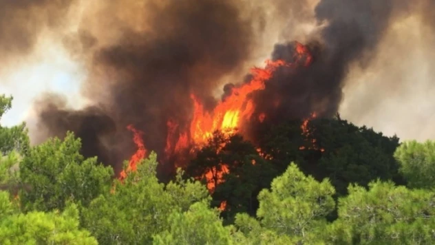 AFAD artan sıcaklıklar nedeniyle yangın uyarısında bulundu
