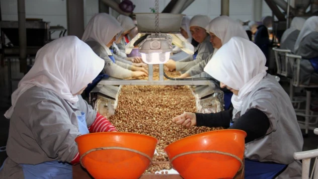 Avrupa'daki enerji krizi fındık ihracatını da olumsuz etkiledi