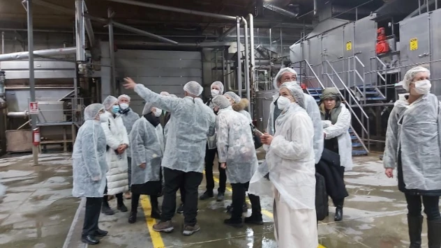 Avrupalı iş adamları Nevşehir'deki firmalarda incelemelerde bulundu