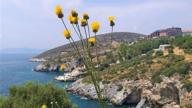 Aydın Gaşağı, kanser araştırmalarına da ışık tutuyor