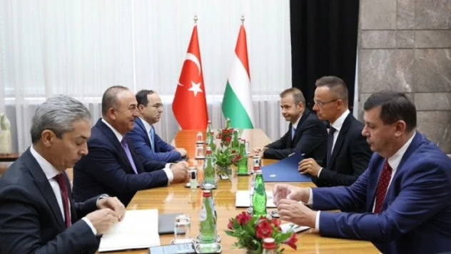 Bakan Çavuşoğlu, Macar ve Sırp mevkidaşlarıyla görüştü