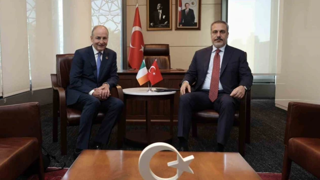 Bakan Fidan, İrlanda Dışişleri ve Savunma Bakanı Martin'le görüştü