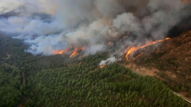 Bakan Kirişci: Bu yıl 12 bin 384 hektar alan yandı