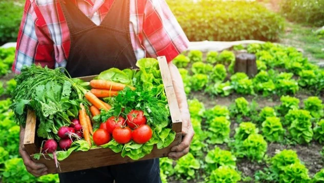 Gıda ve Tarımsal Ürün Piyasaları İzleme ve Değerlendirme Komitesi toplandı