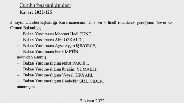 Bakan Yardımcılarına yönelik atama kararları Resmi Gazete'de