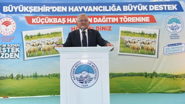 Başkan Büyükkılıç, 3 bin 200 adet küçükbaş hayvan dağıttı