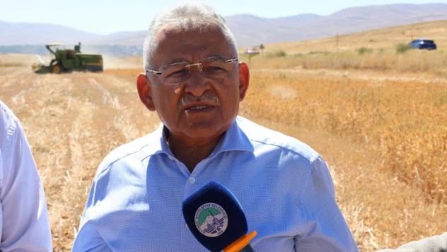 Başkan Büyükkılıç, Bünyan'da biçerdöver kullanarak, aspir hasadı yaptı