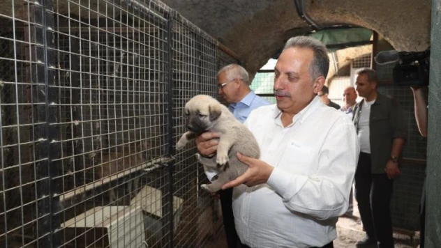 Başkan Yalçın, Patievinde minik dostlarla