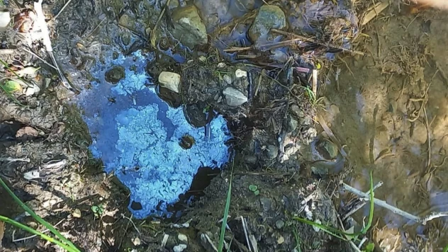 Bayburt'taki petrol sızıntılarını incelediler, petrolün yüzeye çıkarılması için çalışma başlatılmasını istediler