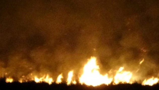 Beykoz Çavuşbaşı'nda bulunan ormanlık alanda yangın çıktı