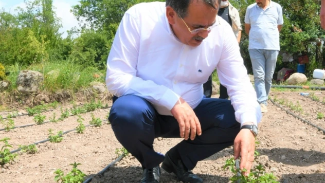 Bir karış toprak bile boş kalmamalı