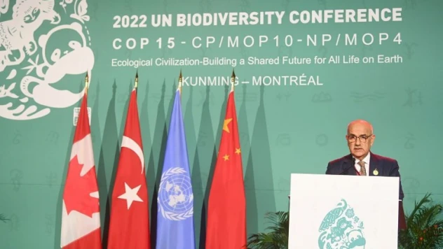 BM Biyolojik Çeşitlilik Sözleşmesi 16. Taraflar Konferansı'na Türkiye ev sahipliği yapacak