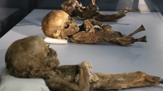Bu mumyalar Mısır'da değil