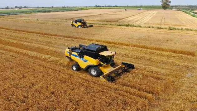 Bulgaristan, Ukrayna'dan tahıl ithalatını yasakladı