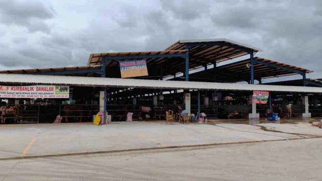 Bursa'da şap hastalığı kontrol altına alındı