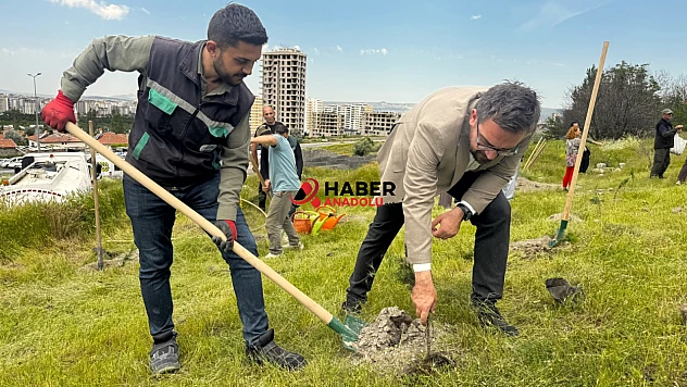 Büyükşehir, 300 Fidanı Toprakla Buluşturdu