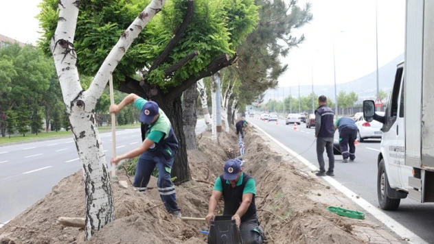 Büyükşehir Büyükşehir'den 200 bin metrekare alana yağmurlama ve damla sulama sistemi