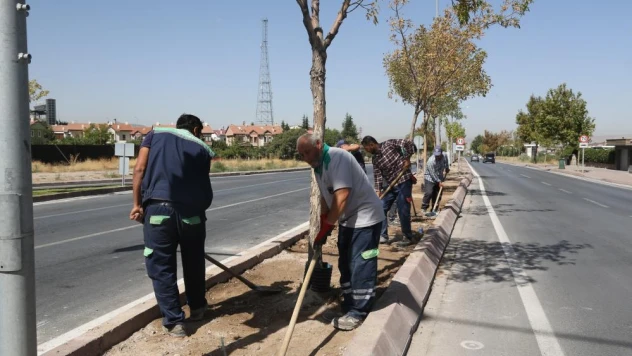 Büyükşehirden çim alan ve sulama sistemi çalışmaları