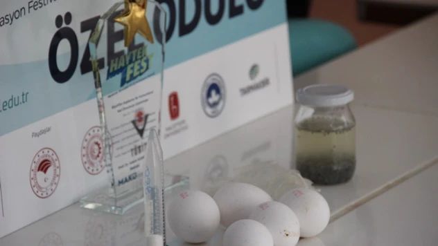 Buzdolabına ihtiyaç duymadan yumurtanın raf ömrünü iki kat uzatan buluş