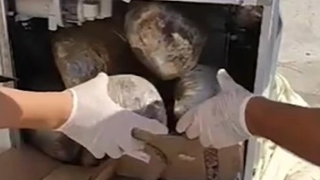 Çamaşır makinesinden uyuşturucu çıktı