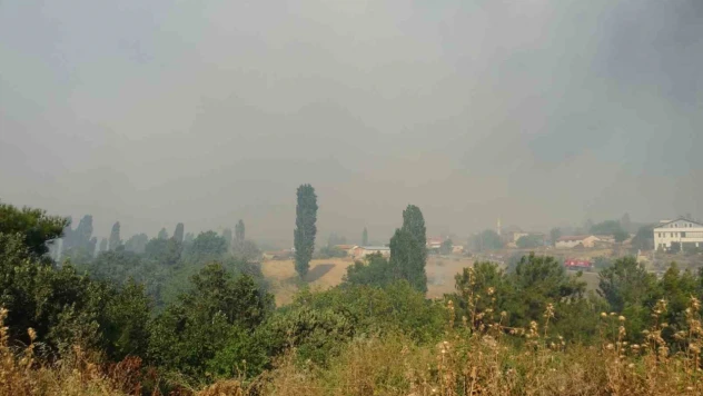 Çanakkale'de orman yangınına havadan ve karadan müdahale ediliyor