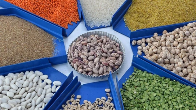 Çavuşoğlu: 'Tahıl ve gübre gibi ürünlerin ihracatı konusunda uzun süredir devam eden müzakereler var'