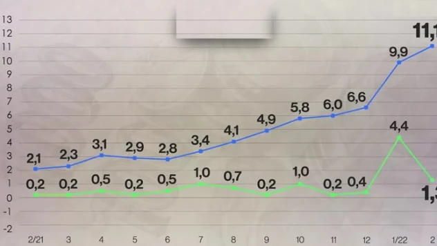 Çekya'da tüketici fiyat endeksi son 24 yılın rekorunu kırdı