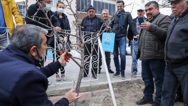 Çiftçilere uygulamalı aşı ve budama eğitimi