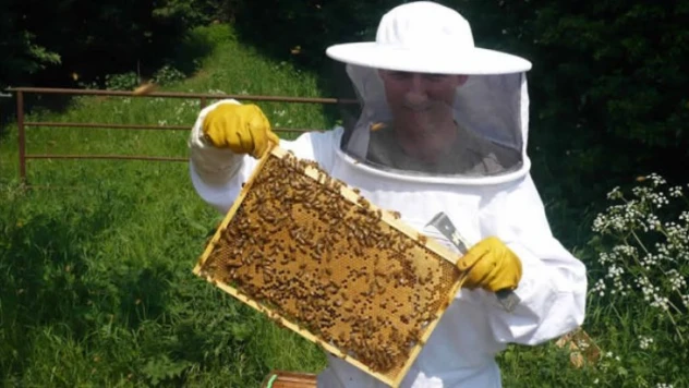 Çin'den sonra bal üretiminde ikinci sıraya yükseldik