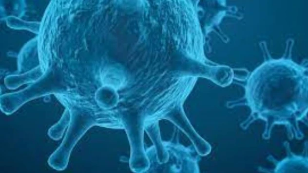 Çin'den yeni ölümcül virüs haberi