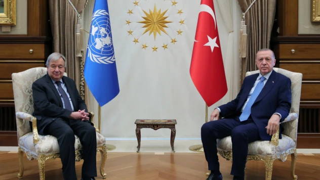 Cumhurbaşkanı Erdoğan, BM Genel Sekreteri Guterres ile görüştü